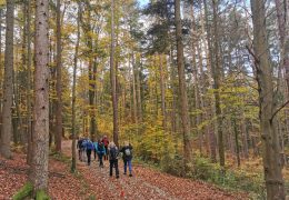 Hitzendorfmarsch, So., 30.11.2025