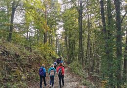 VGT-Familienwandertag am 26. Okt. 2026